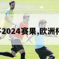 欧洲杯2024赛果,欧洲杯2028