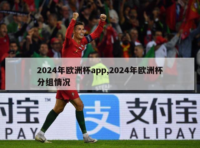 2024年欧洲杯app,2024年欧洲杯分组情况